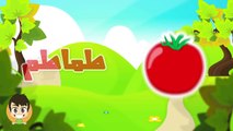 Learn Vegetables in Arabic for Kids تعليم أسماء الخضروات للاطفال باللغة العربية
