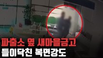 [자막뉴스]1분 거리 파출소 있는데도…새마을금고 강탈 도주