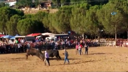 Dostluk karşılaşması meydan savaşına dönüştü