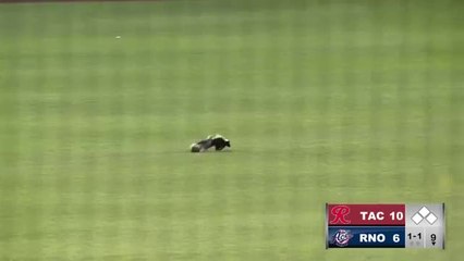 Skunk invades field during Reno Aces game - ABC15 Sports