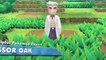 Explore the World of Pokémon  Let's Go, Pikachu! and Let's Go, Eevee!