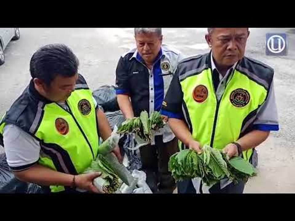 Kastam rampas RM800,000 barang seludup