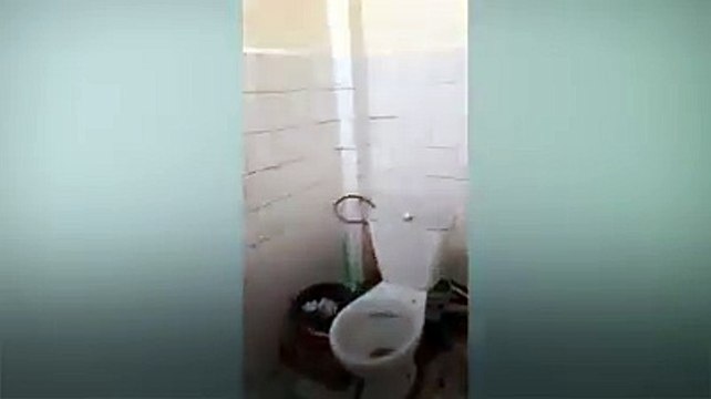 Янги ТашМИ бўйлаб видео-экскурсия: Янги ТашМИ хўжалик ҳисобидаги палатасининг шароитлариВидеода кўришингизча, палатанинг ойналарида пардалар йўқ, хонаси жуда