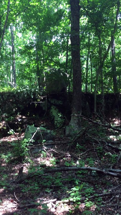 Brian Ghilliotti: Noticing stange dips in stone wall and alignments with nearby perched stone.