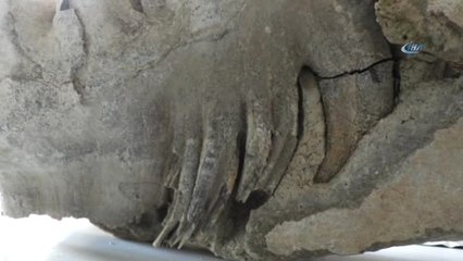 Yozgat'ta 9 Milyon Yıllık 'Mamut' Fosili Bulundu