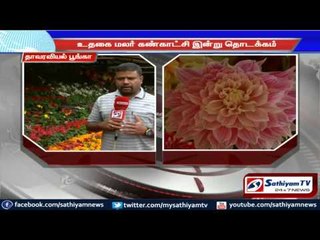 Eye feasting 119th floral exhibition: Nilgris.