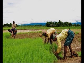 The government decision to raise the interest of farmer’s loan will kill farming: debate.