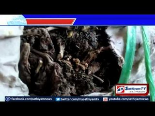 130 Kgs of Cannabis seized: 2 youths arrested: Rameshwaram.
