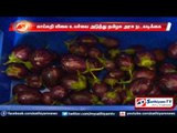 Chennai :  TN government action against vegetable price rise