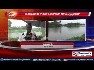 Samba crops drowned in rain water