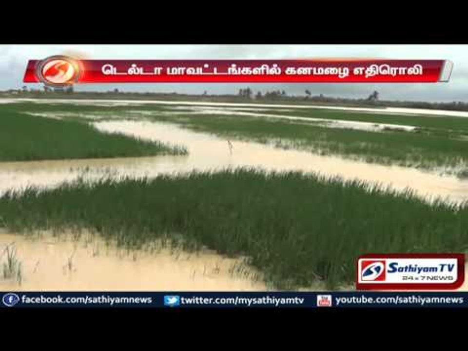 Crops drowned in flood and destroyed