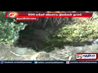 500 acres of farming lands spoil: Thiruvanamalai.