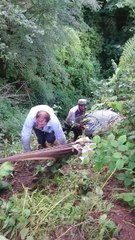 Uçuruma düşen çay bohçasını böyle kurtardılar!