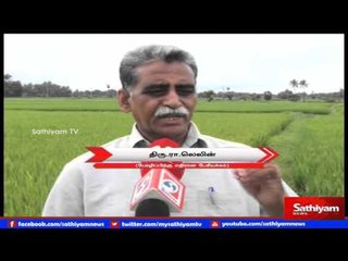 விழித்தெழு தமிழா  - சிறப்பு நிகழ்ச்சி