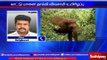 Elephant attack farmer died: Forest officers towards trapping elephant.