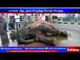Bus rammed into elephant: forestry is suffering to rescue it.
