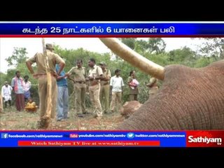 Train hits elephant: Kovai.