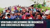 Indonésie: une foule en colère massacre 300 reptiles pour venger un homme tué par un crocodile