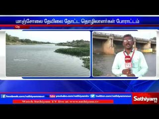 Mango and tea estate farmers protest: 17 died. | Sathiyam TV News