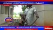 Snakes in SP office: Charmer caught snake: Sivagangai | Sathiyam TV News