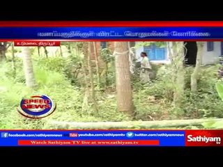 Tirupur : Wild elephant resides in residential area | Sathiyam TV News