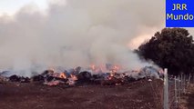 Noticia | Los bomberos controlan un incendio en la localidad madrileña de Valdemorillo 17/7/2018