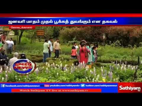 Planting of flowers which bloom in all months started in bryant park kodaikanal | Sathiyam TV News