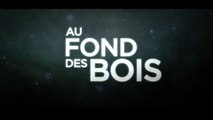 AU FOND DES BOIS (2015) (VO-ST-FRENCH) Streaming XviD AC3
