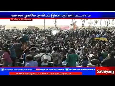 Struggle continues until Jallikattu conducted - Crowds gathered in Chennai Marina