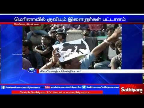 On Supporting Jallikattu Youngsters gathering increases per second in Chennai Marina Beach