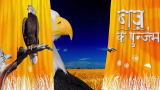 Rebirth of eagle in Hindi