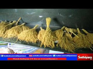 Vidiyal Puthusu : Mr.Nel Jeyaraman explains about Traditional rice varities | 03.03.17