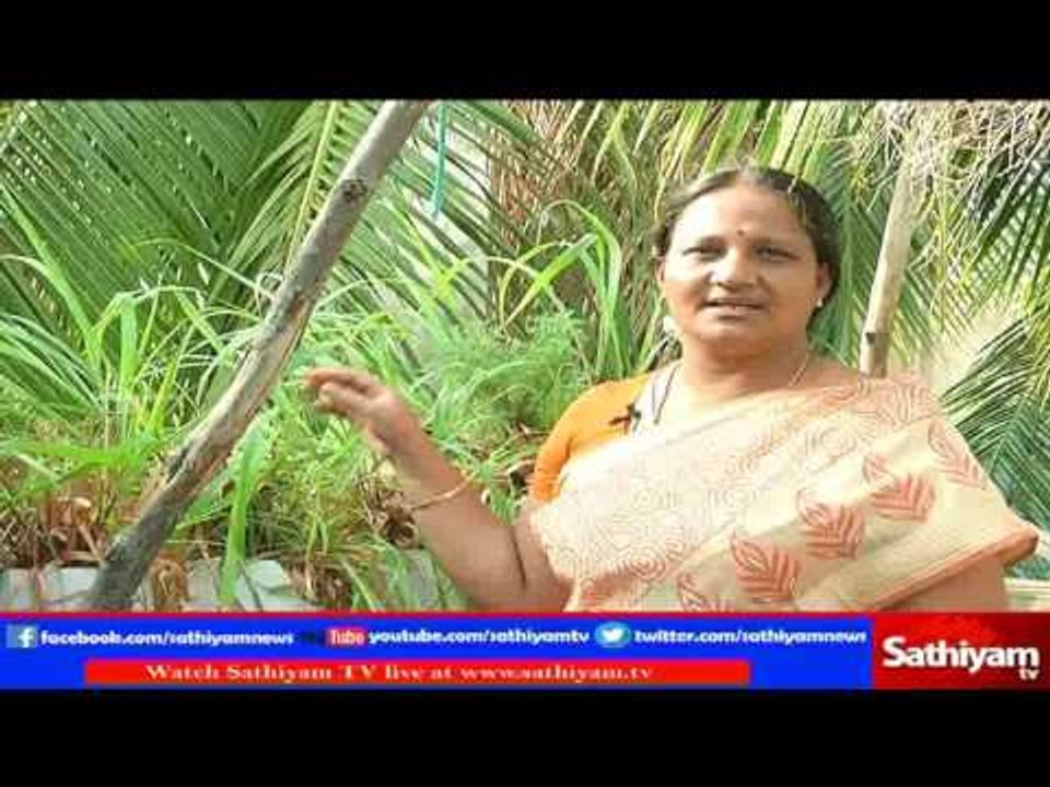 Vidiyal Putusu: Mrs.Subhasri Vijay speaks about Terrace garden