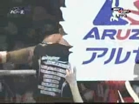 Jerome le Banner Vs. Hiromi Amada