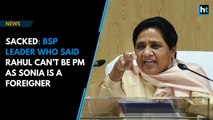 Sacked: BSP leader who said Rahul can’t be PM as Sonia is a foreigner