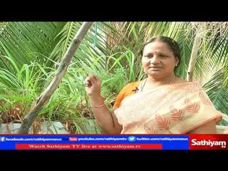 Vidiyal Puthusu : Mrs.Shubasri Vijay speaks about Terrace garden | 20.3.17 | SathiyamTV