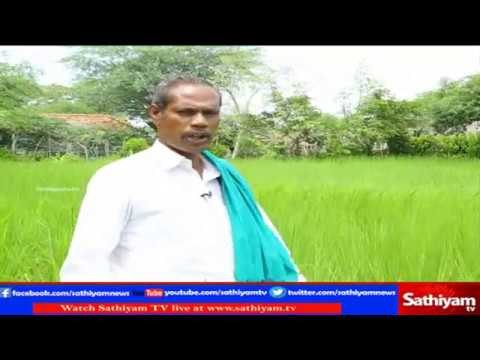 Vidiyal Puthusu : Farmer Nel Jayaraman speaks about organic farming | 27.3.2017