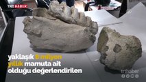 Yozgat'ta 8 milyon yıllık çene kemiği fosili bulundu