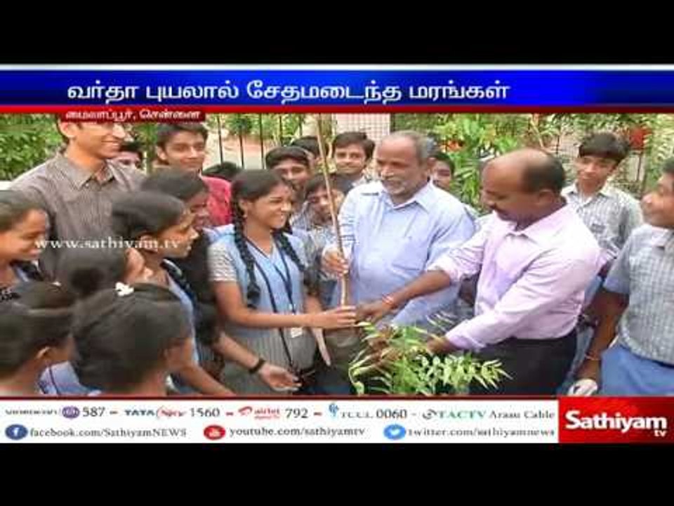 Tree planting on behalf of private soap company and famous newspaper at Mylapore
