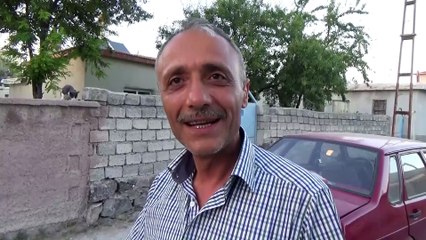 Mahallenin kedileri muhtar yolu bekliyor - KONYA