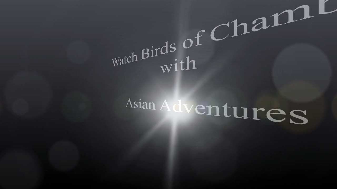 Birds of Chambal - Asianadventures