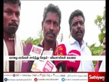 Banana Trees Damaged - Farmers Worried