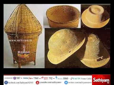 Uraka Solvom - Destroying palm trees and Palm industries | 28.05.17