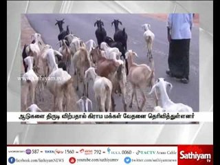Plight of stealing and Selling sheep