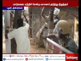 Vehicle carrying cows was prevented and stopped