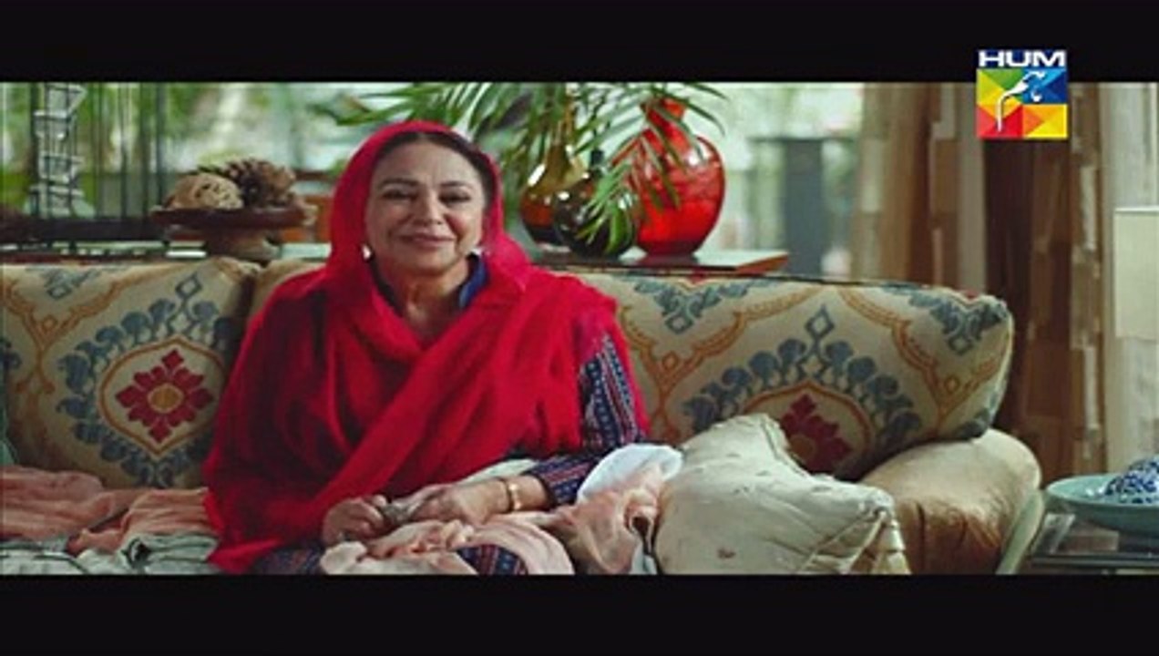Mohabbat Ab Nahi Hogi Episode 8 Full Drama On Hum TV Drama