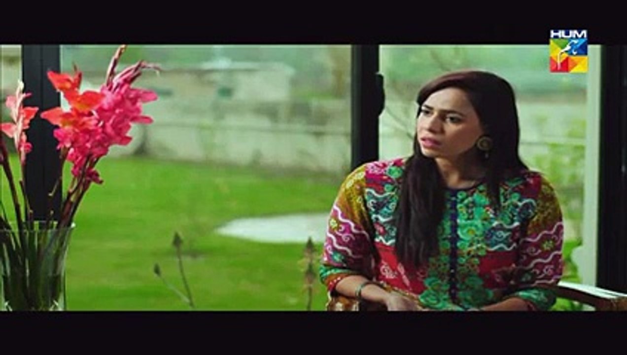 Mohabbat Ab Nahi Hogi Episode 3 Full Drama On Hum TV Drama
