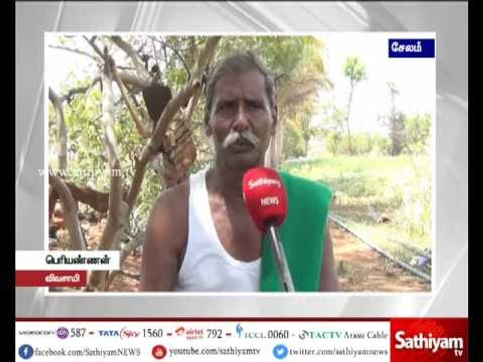 இயற்கையோடு ஒன்றி வாழ்வோம் இயற்கை உரங்களை மட்டுமே பயன்படுத்துவோம். இது குறித்த ஒரு செய்தி தொகுப்பு