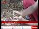 Theni: Government school students actively participate in making seed ball