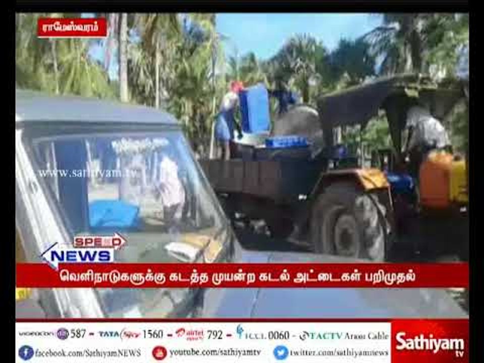 Sea Cucumbers worth Rs 2 Crores seized from that to be passed Foreign Country through Sri Lanka